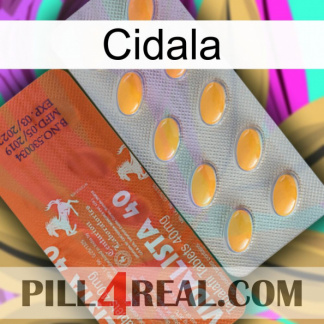 Cidala 43
